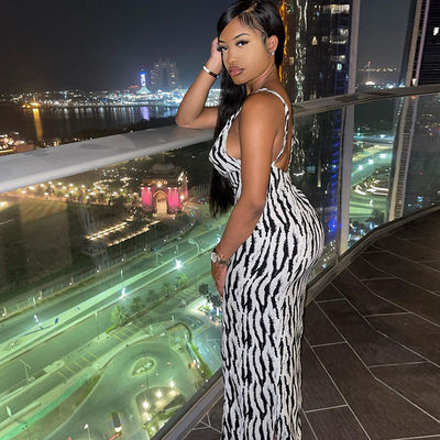 Sexy Druck stilvolles Damenkleid Zebra Streifen V Halsband Kleid