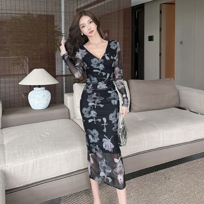 Mesh Print Sexy Hüftkleid Langer Ärmel Niedriger Rücken Wickel Hüftkleid